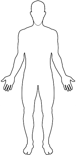 Human Body Reference